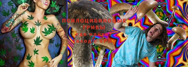 2c-b Балахна